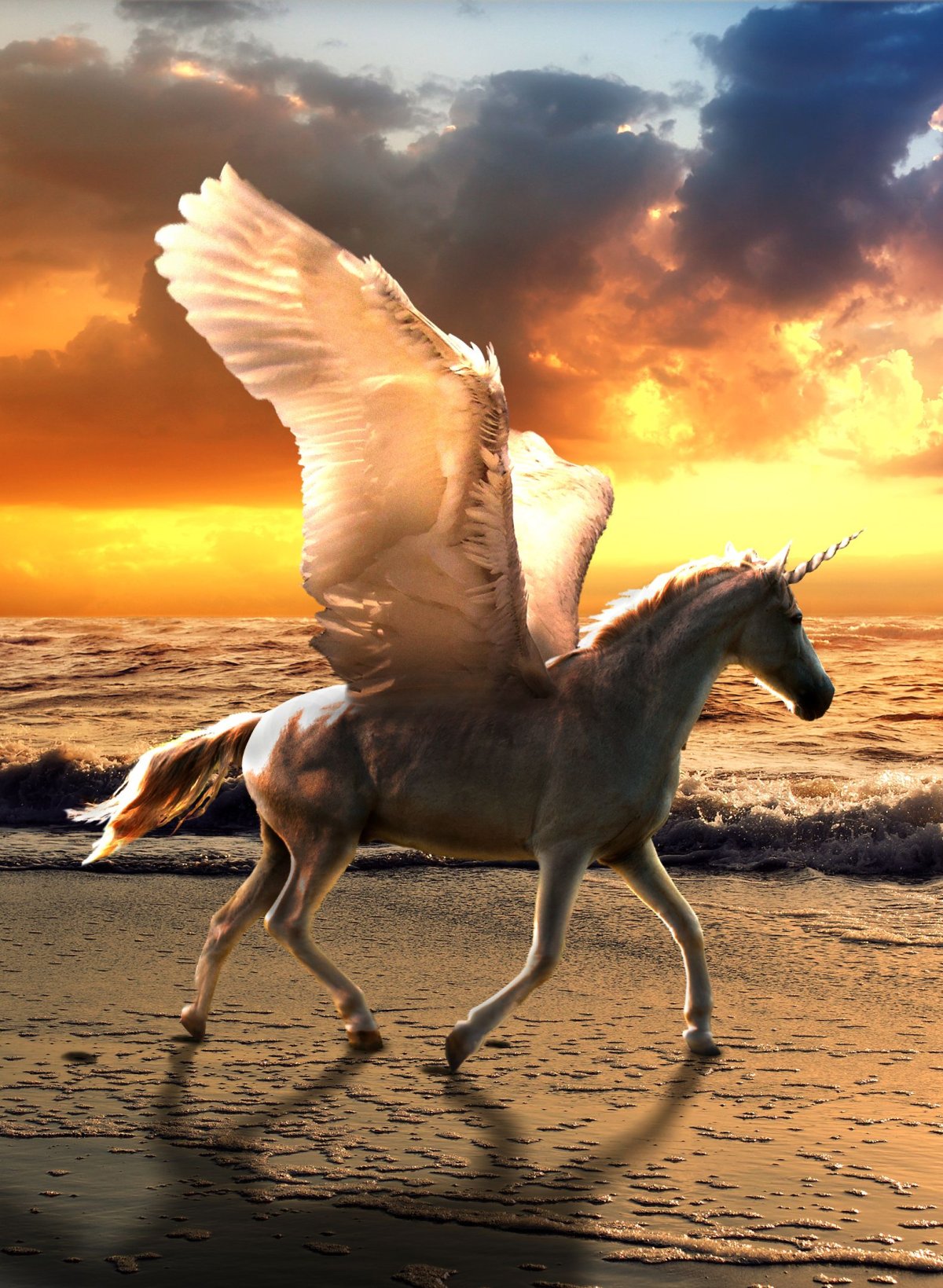 Единорог (мифология)