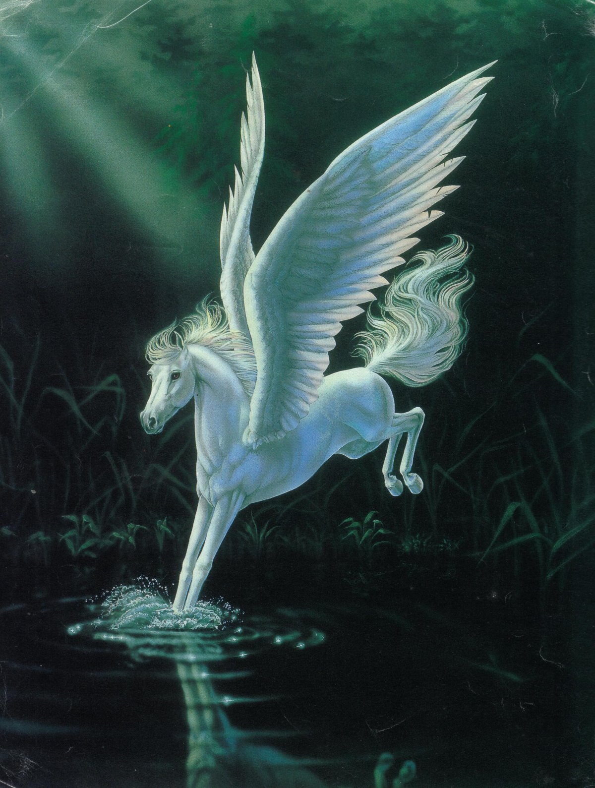 Горгона и Пегас