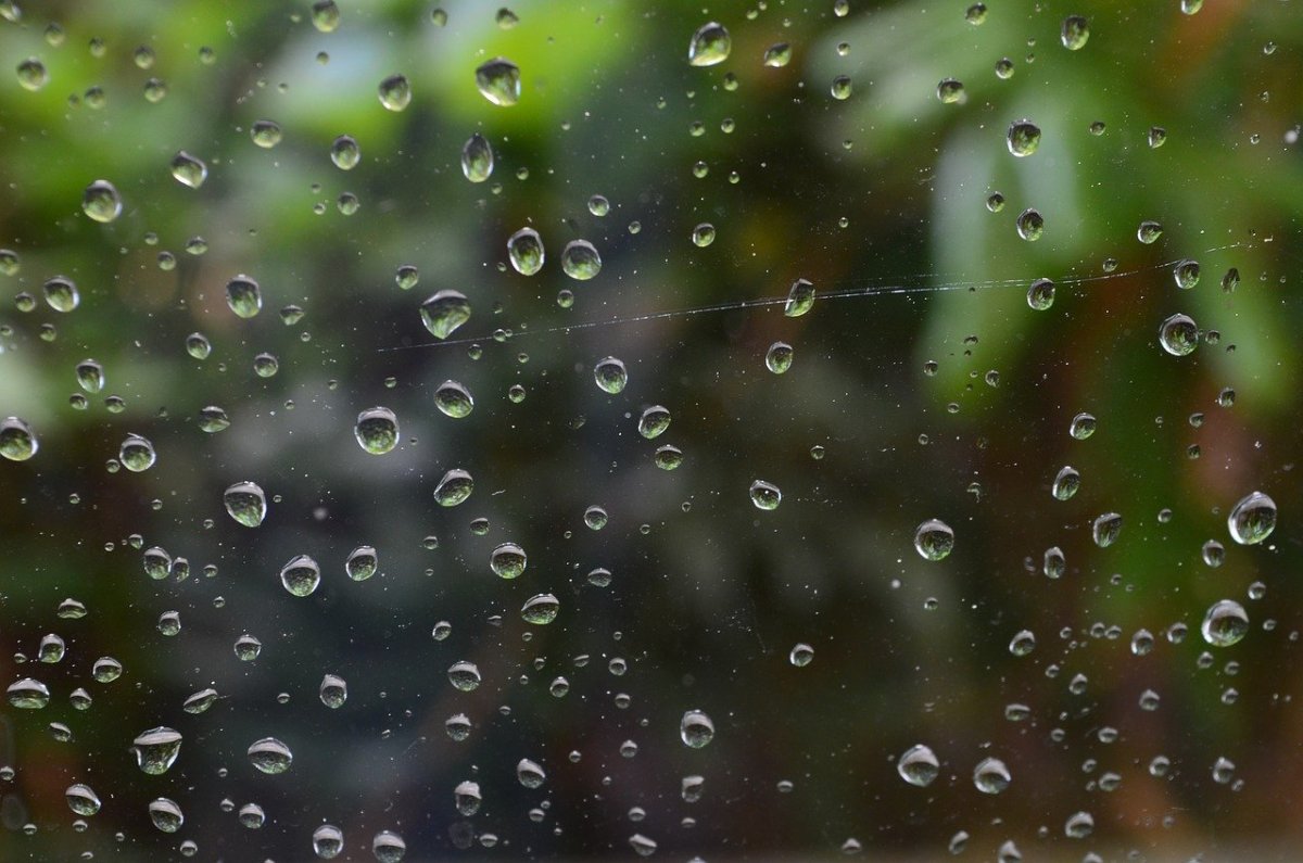 Дождь за окном