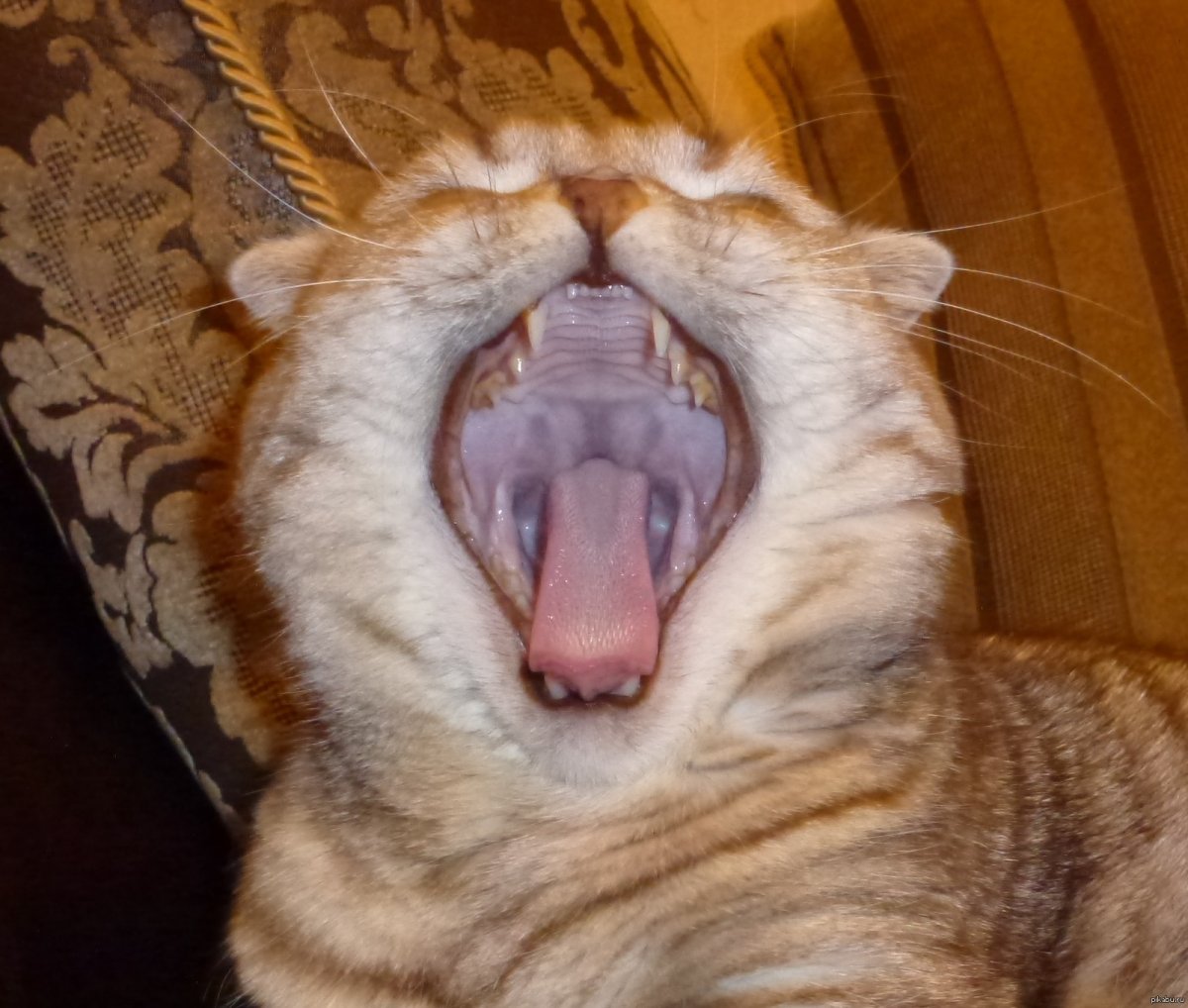 Смайлик с текущими слюнями