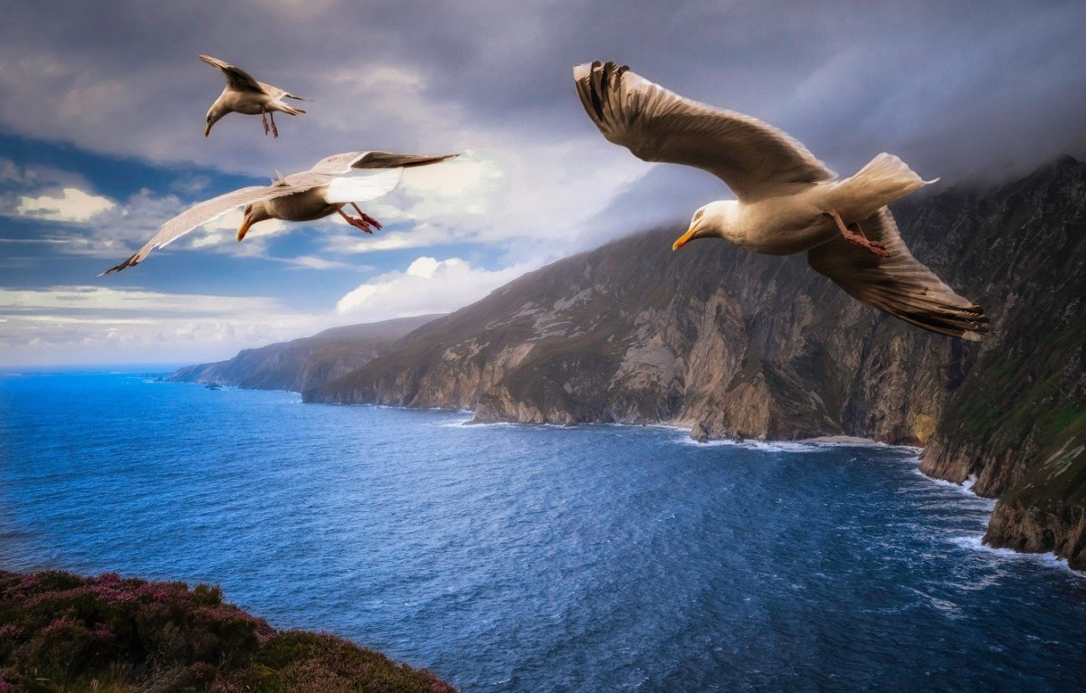 Вера Столярова Алушта