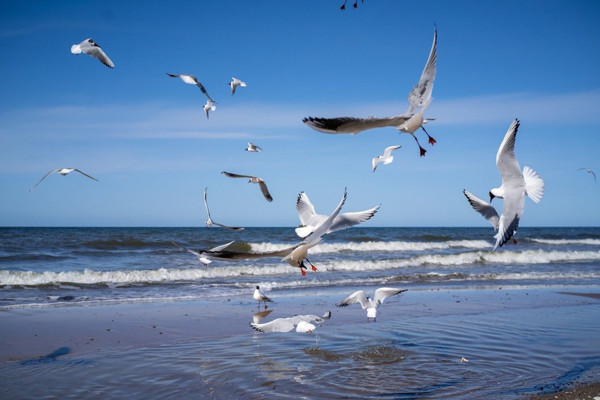 Горы море Чайки