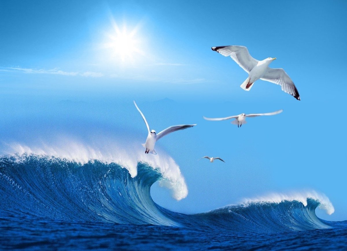 Баренцево море с Альбатросом