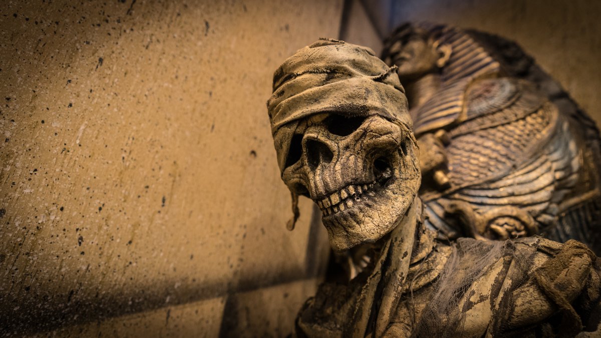 Мумии мультяшные