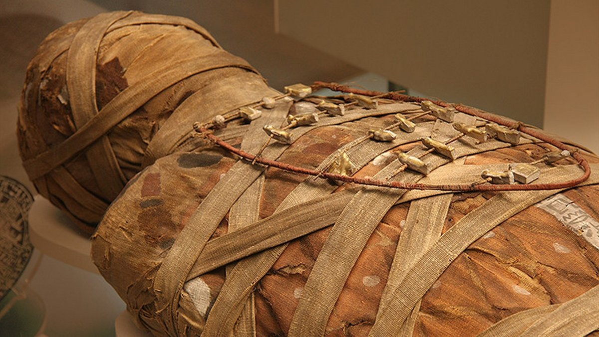 Захоронение мумифицированных животных в древнем Египте