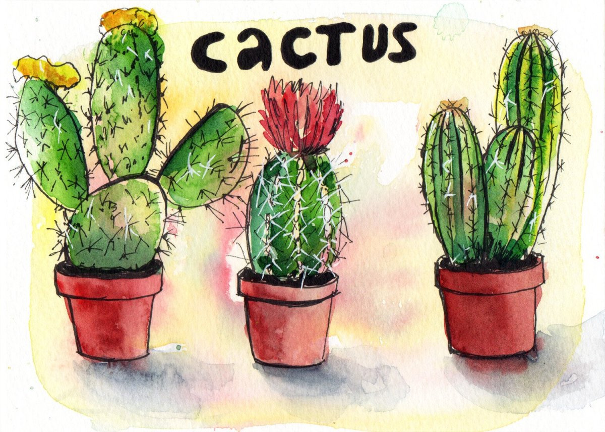 Кактус черно белый