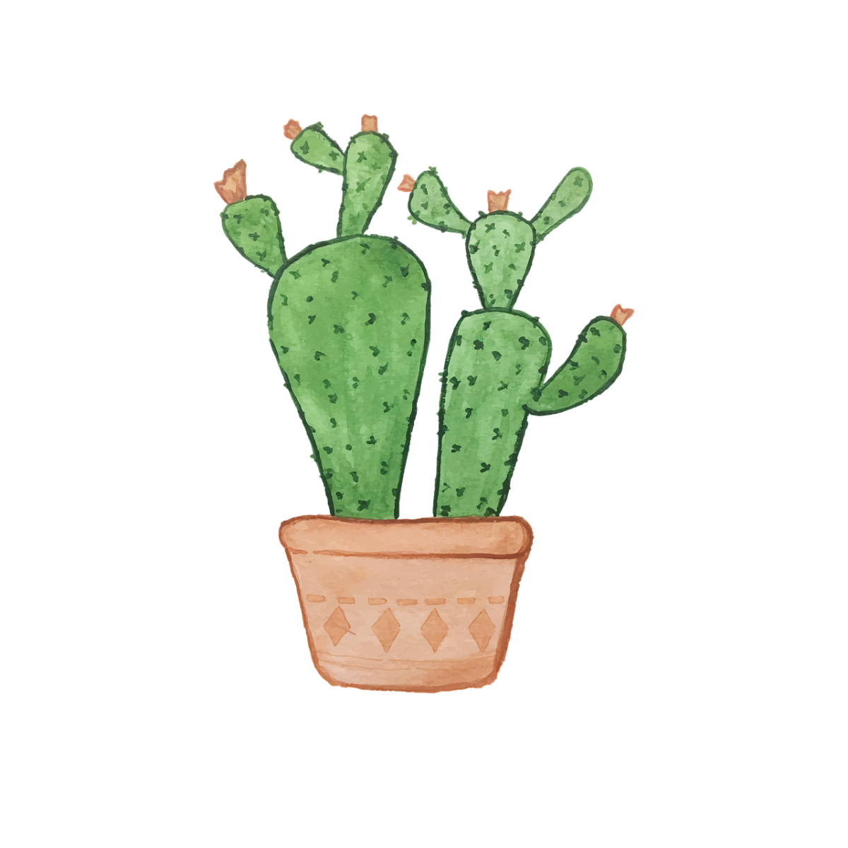 Кактус цветными карандашами