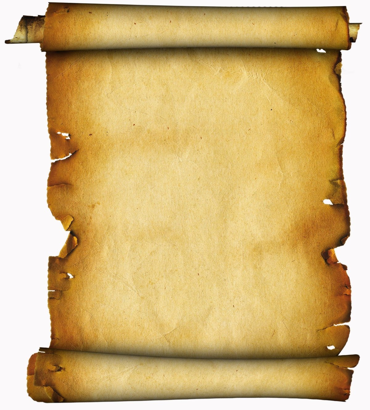 Циперус Папирус