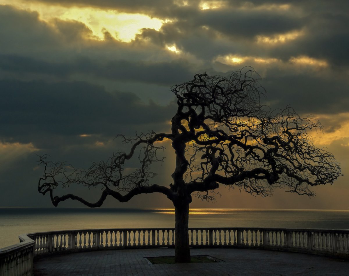 Меланхоличное настроение