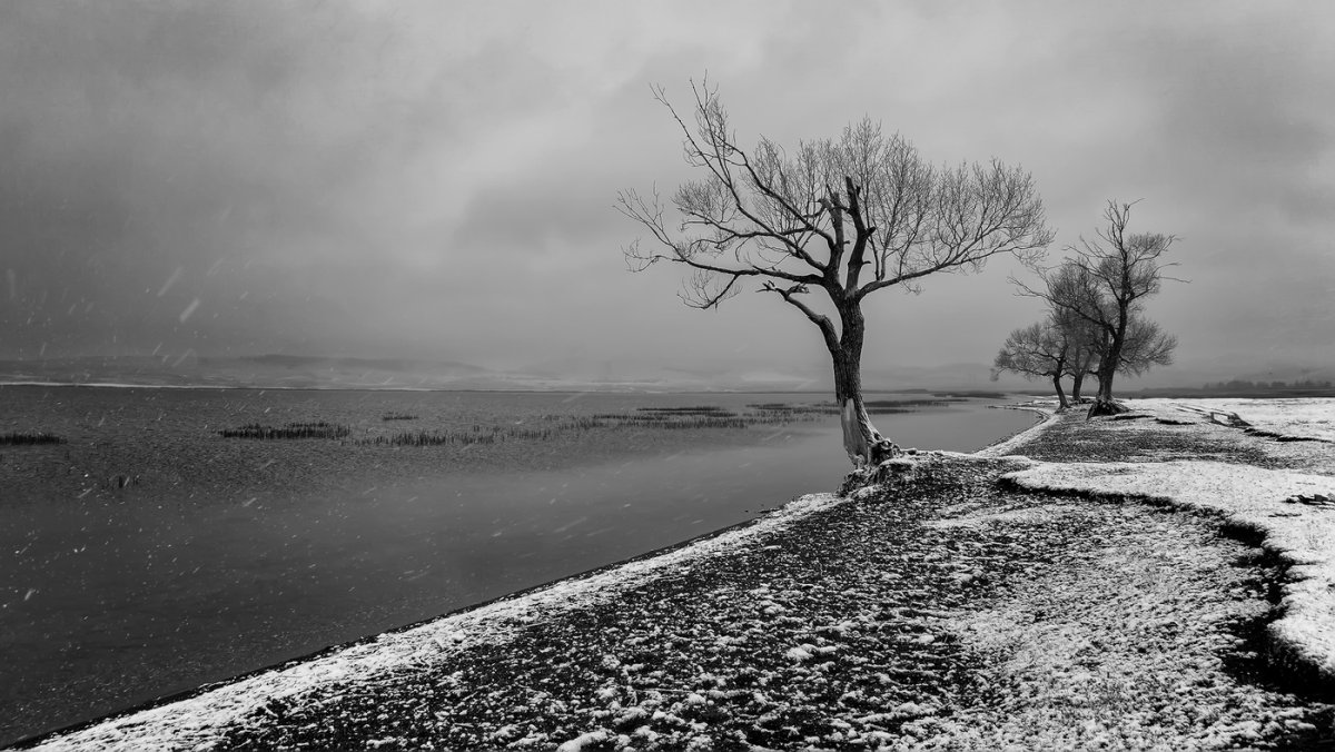 Меланхолический пейзаж