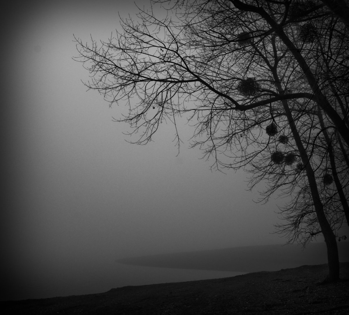 Меланхолия Эстетика