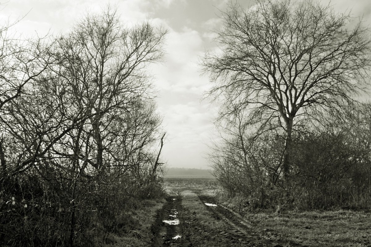 Меланхоличные фотографии