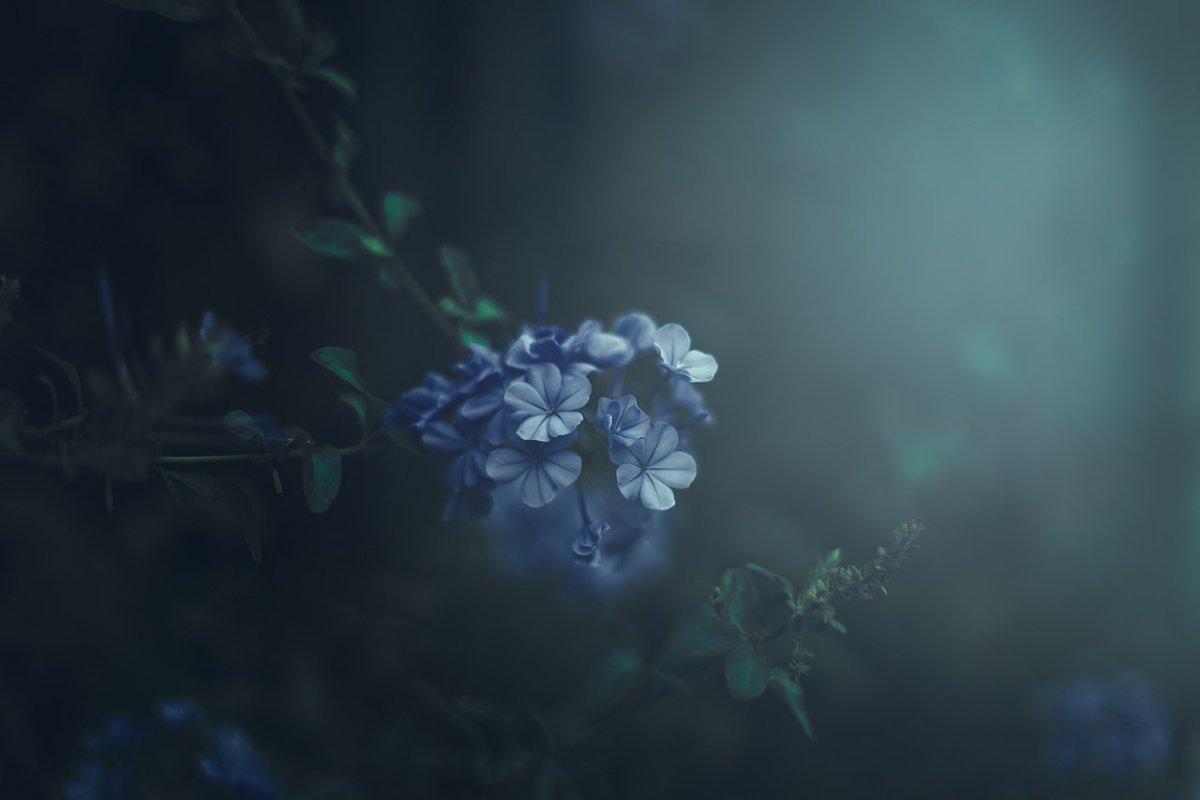 Картинки Меланхолия красивые