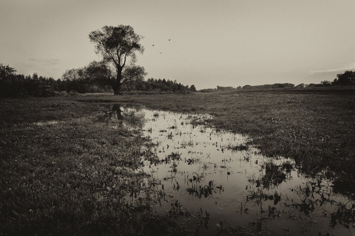 Мрачная Меланхолия