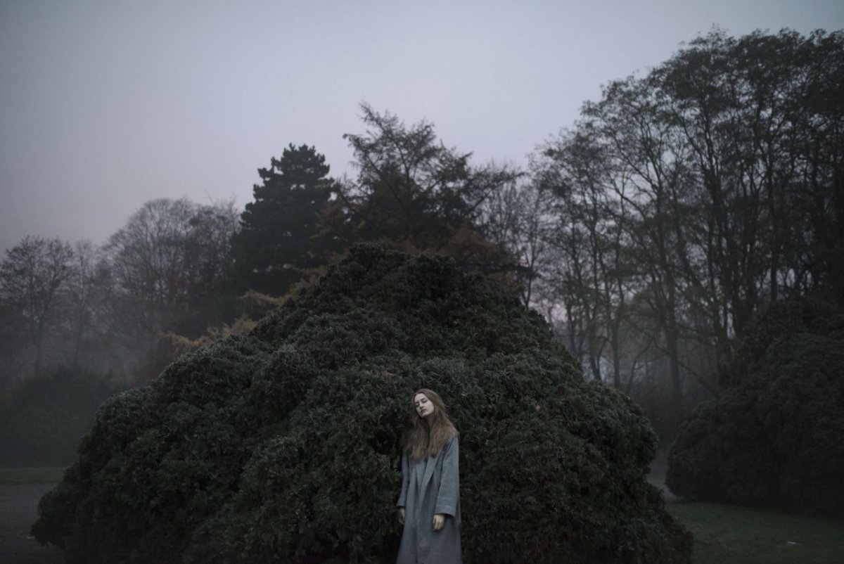 Лес Меланхолия