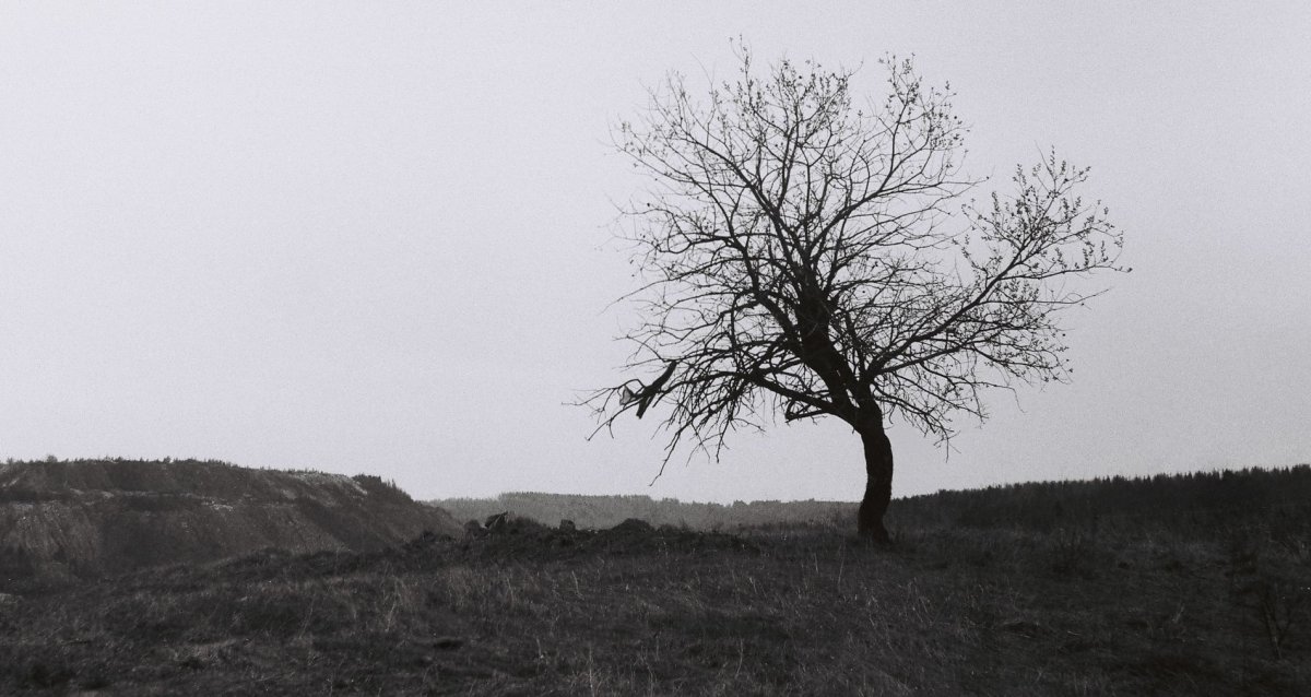 Меланхоличный фон