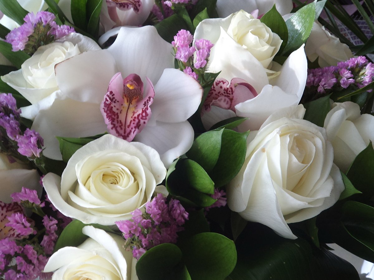 Роскошные цветы