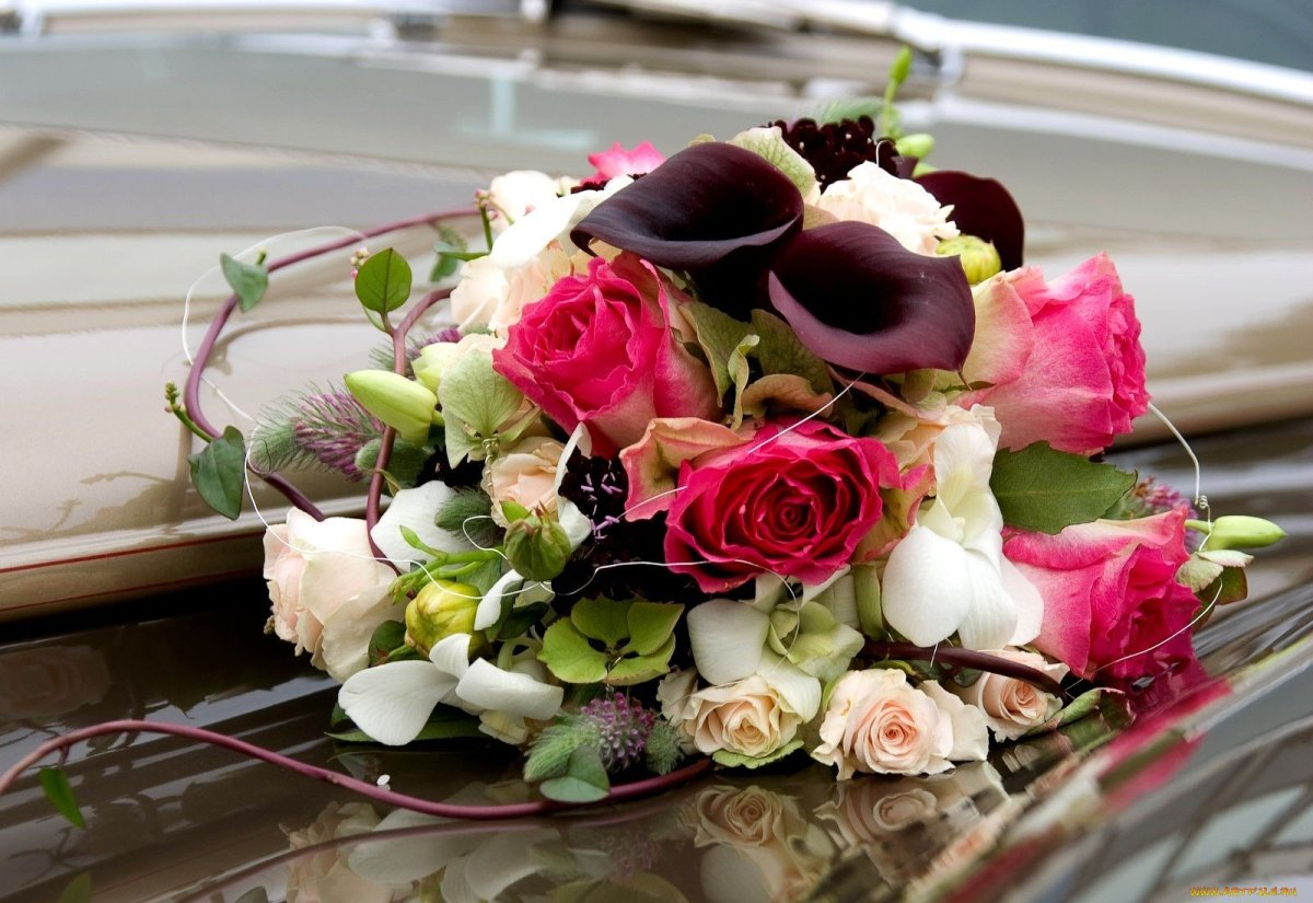 Шикарные цветы