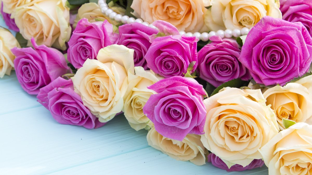 Букет роз обои