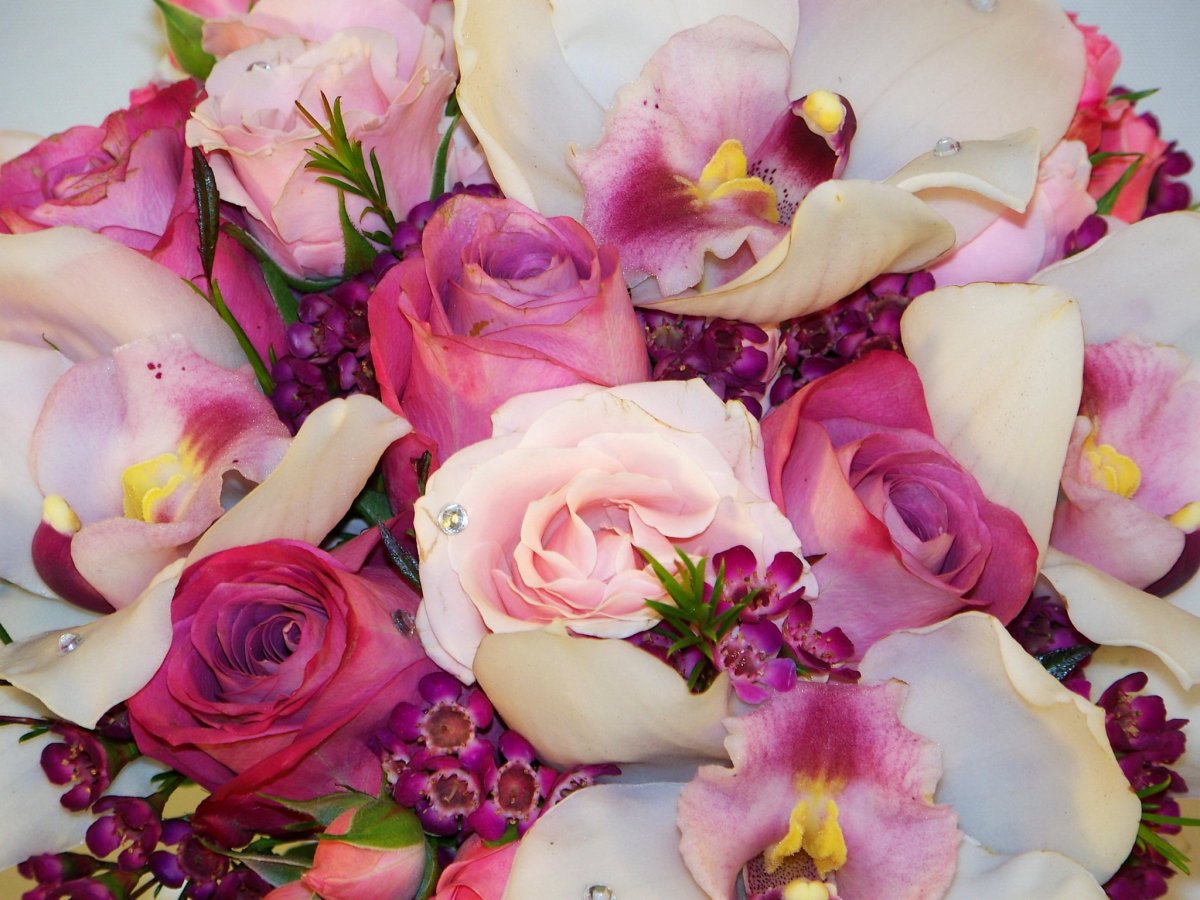 Красивый букет роз