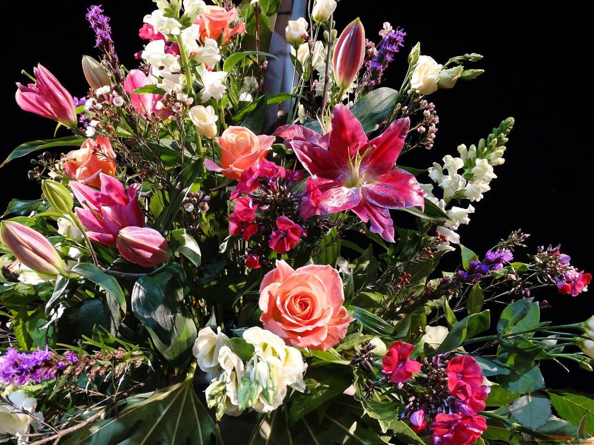 Розовые розы