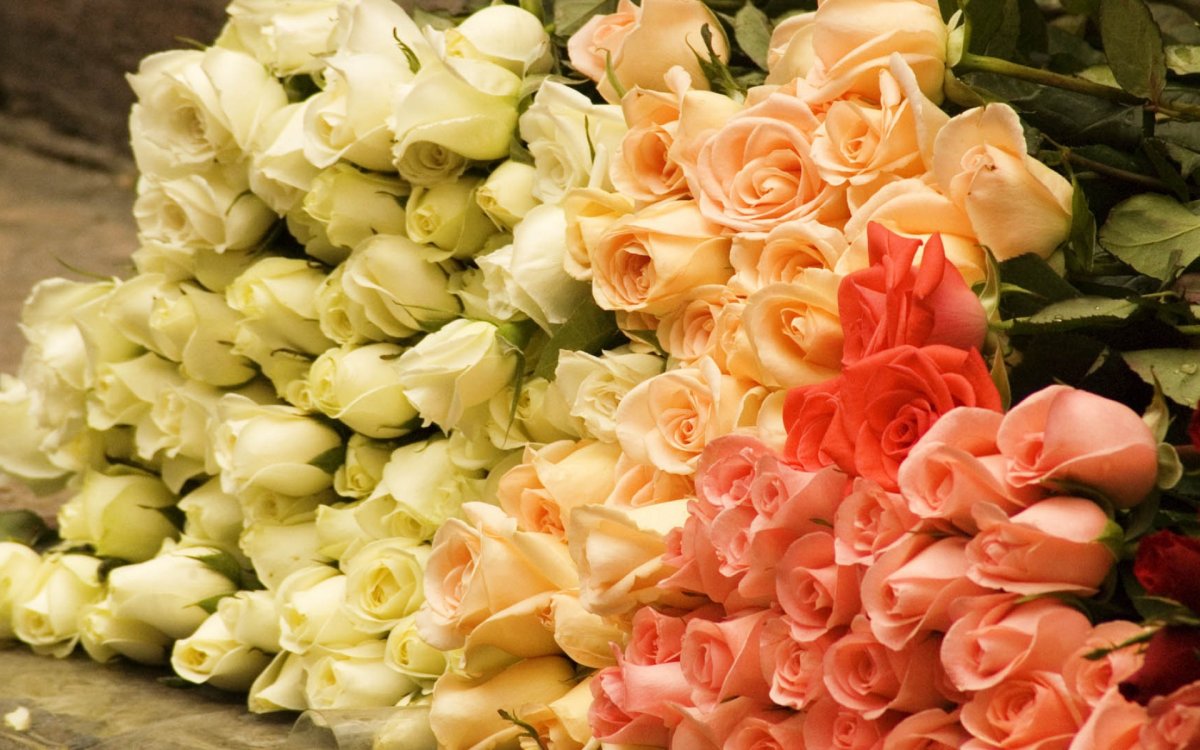 Марианна Локшина букеты