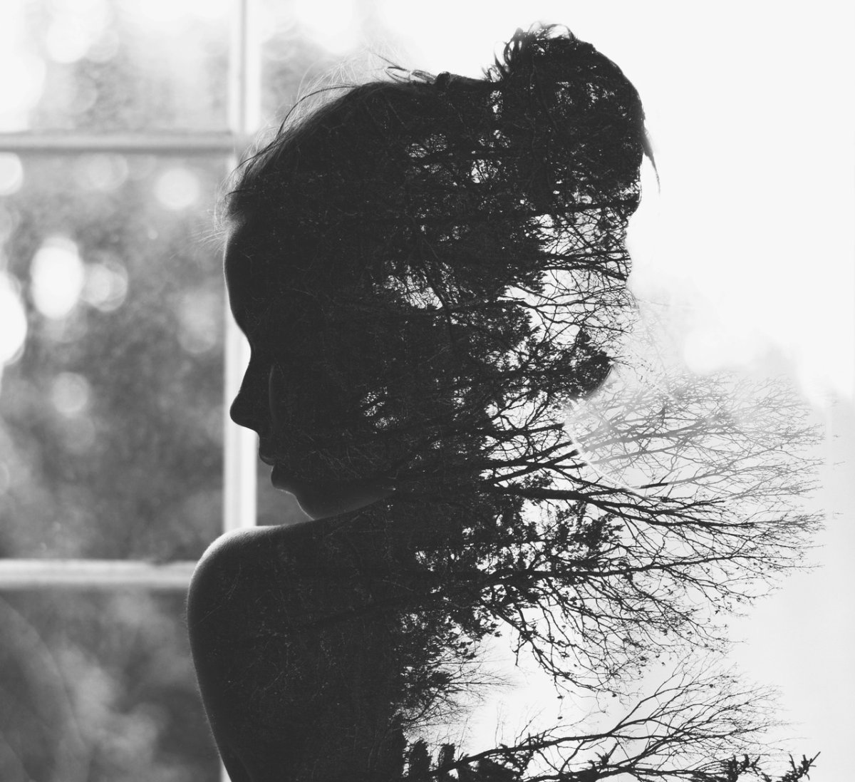 Лесная дорога в тумане