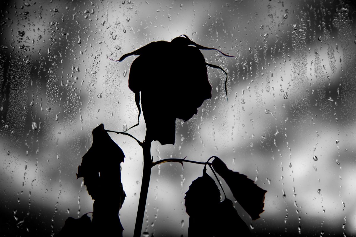 Это одиночество