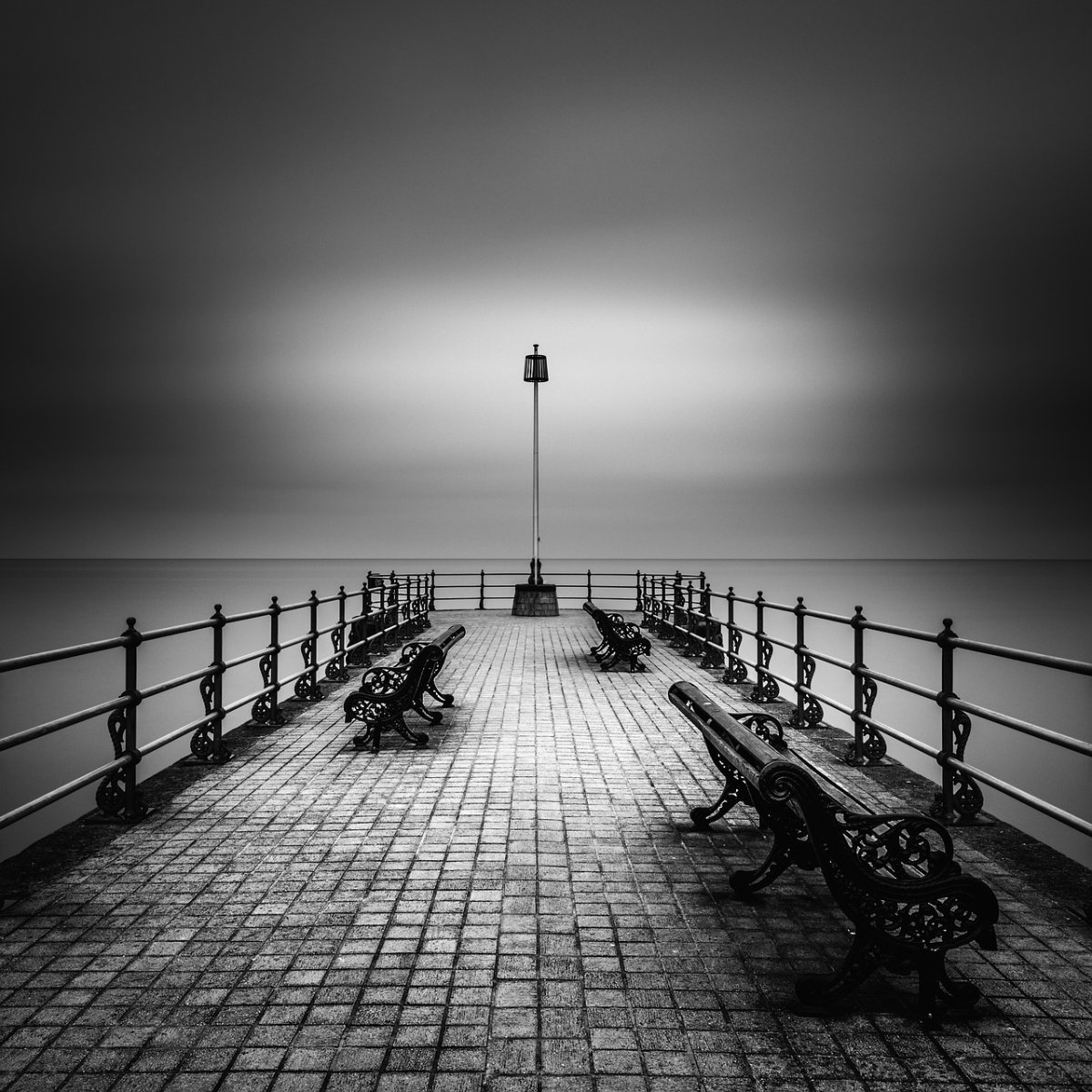 Грустная собака