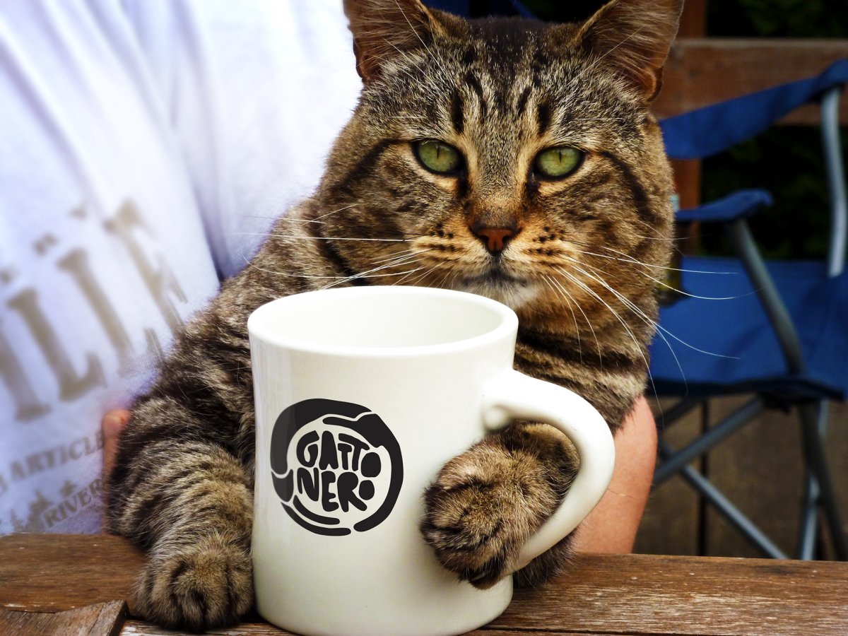 Кот и кофе картинки
