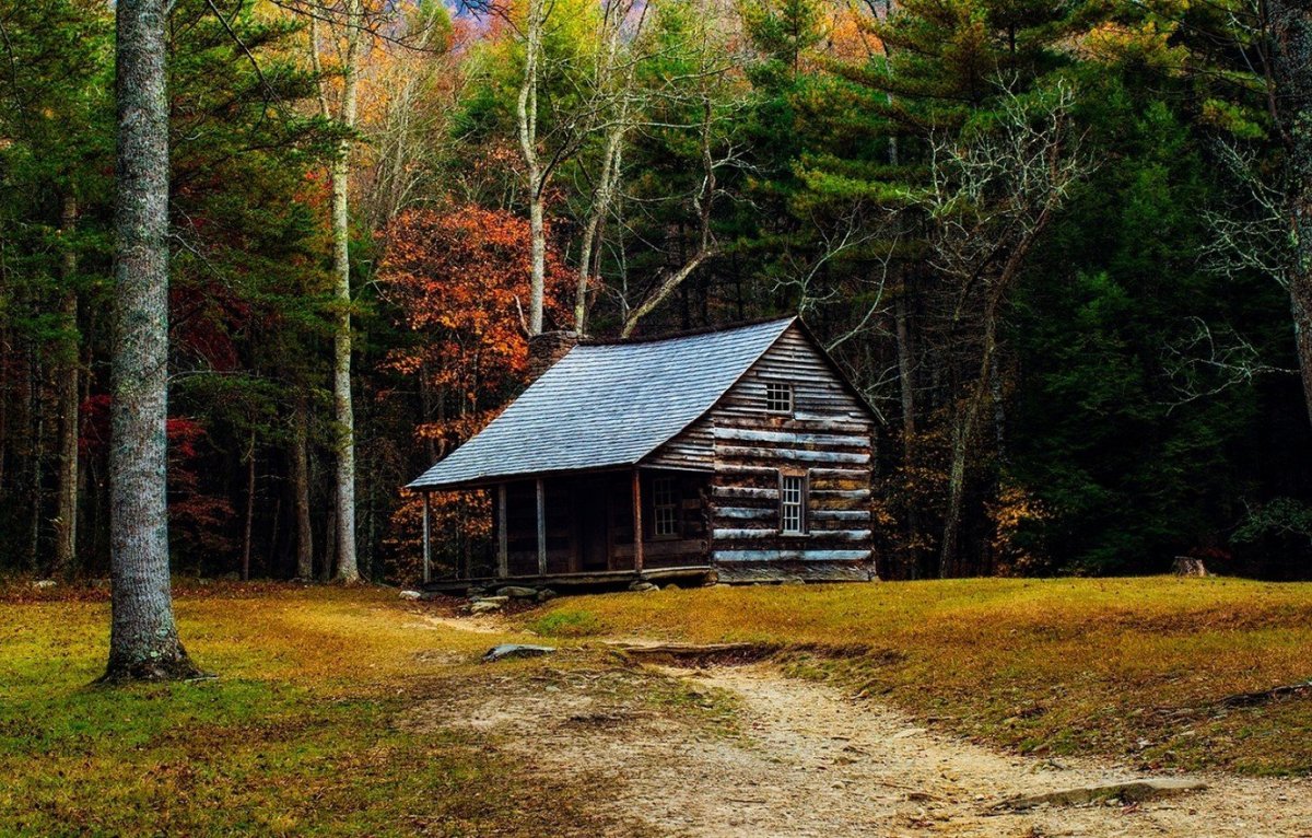 Лесной дом лесника