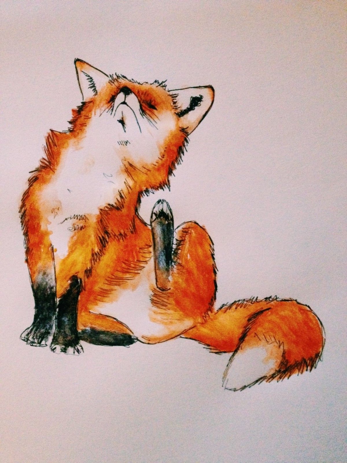 Скетчинг лиса