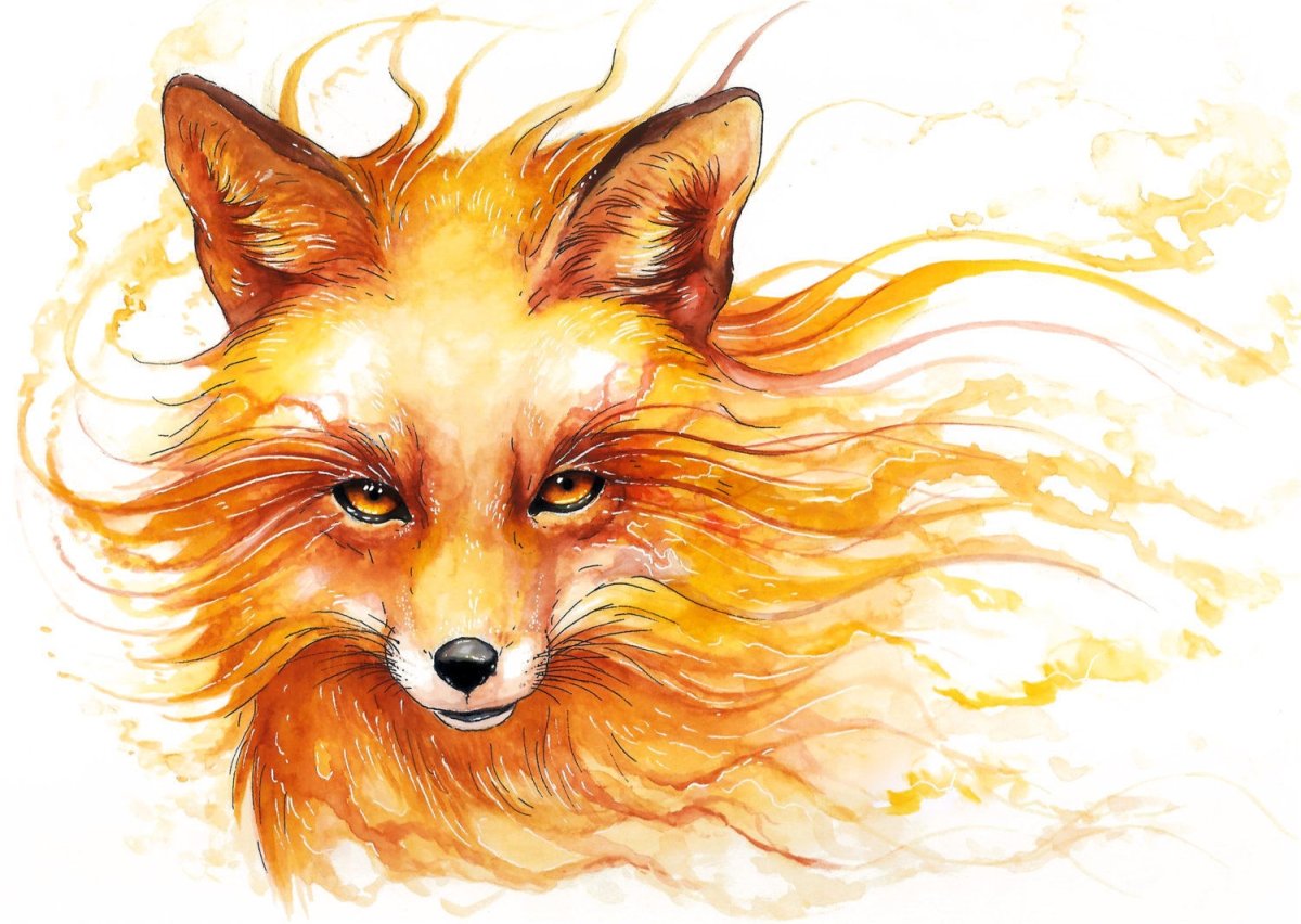 Лис рисунок