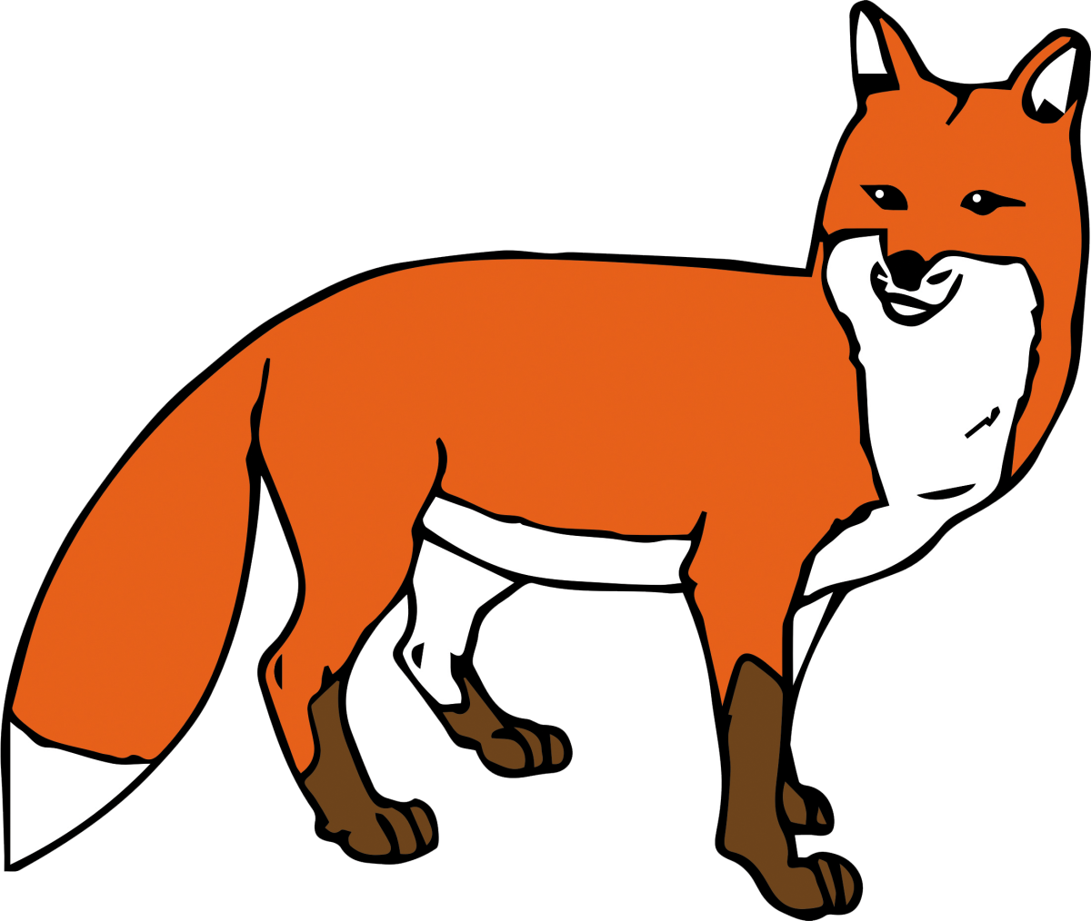 Смешные лисы рисунки