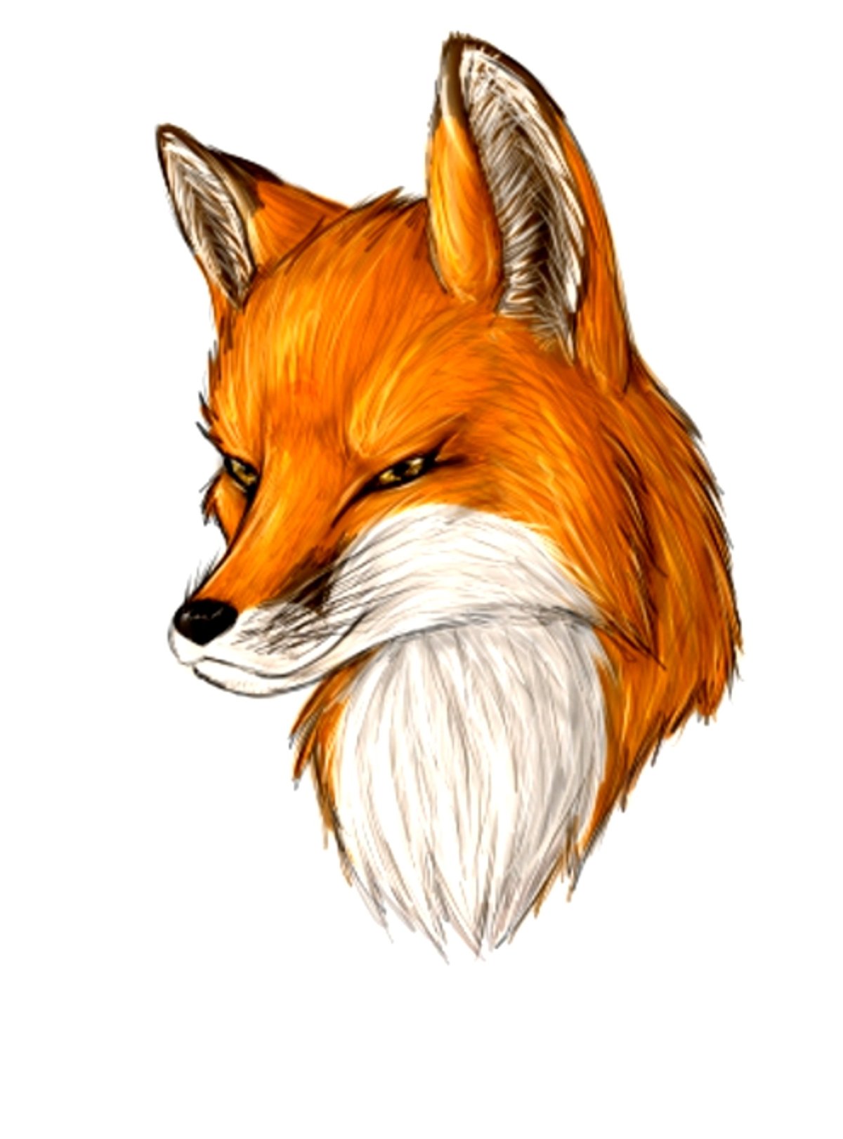 Лисенок рисунок