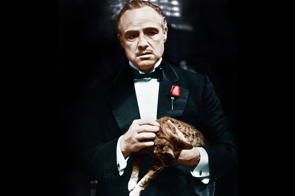 Крестный отец Оскар