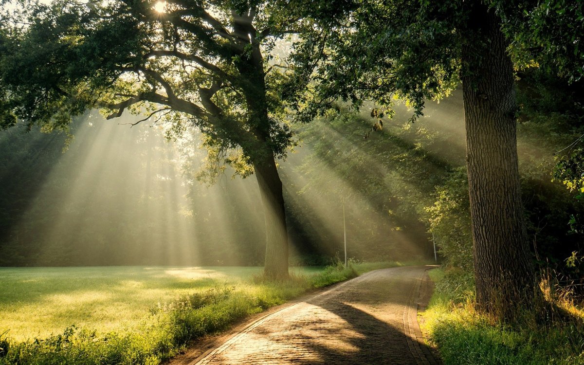 Солнечный пейзаж