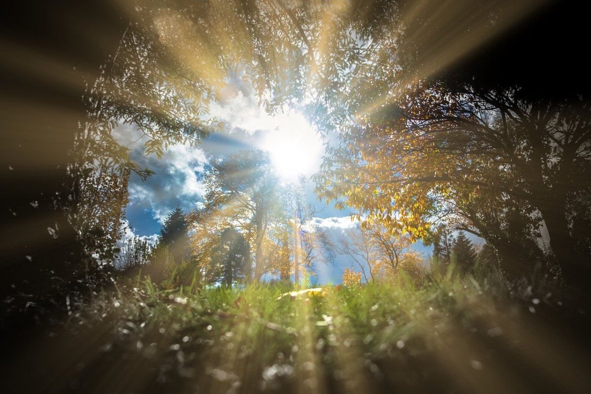 Солнце сияет