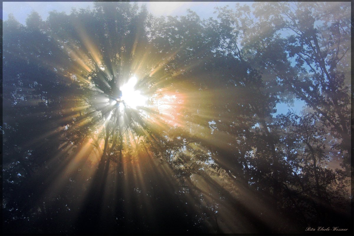 Божественный свет