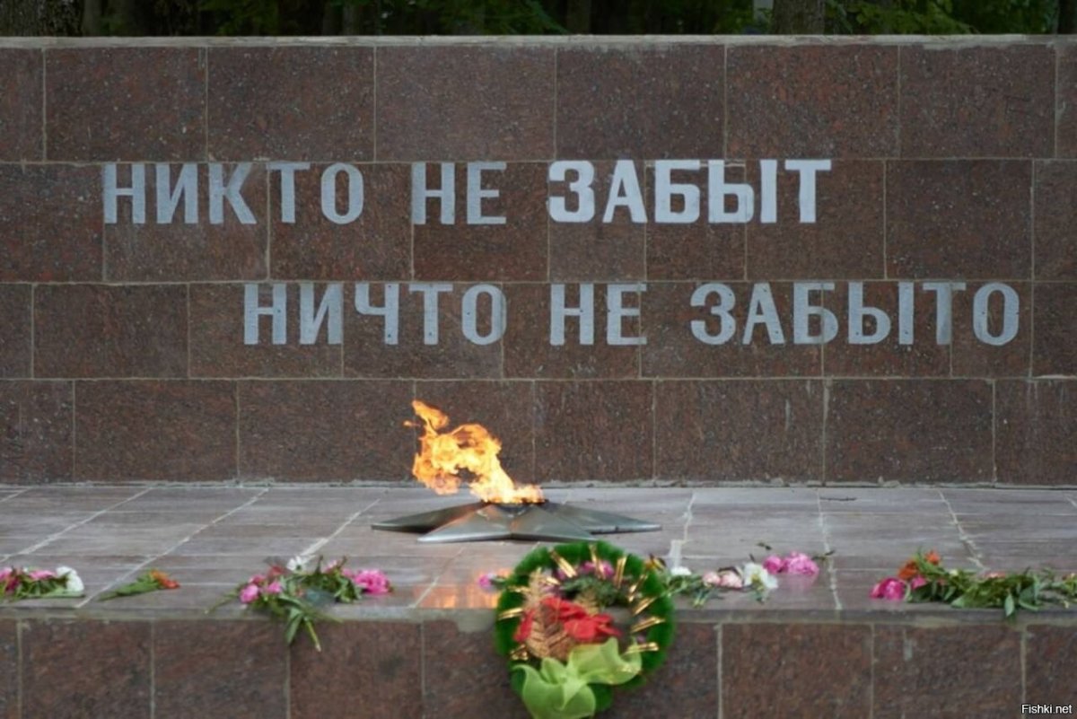 Никому не верю никому