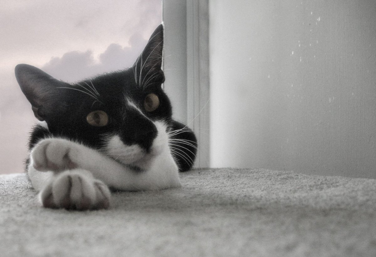 Никто не имеет право судить меня