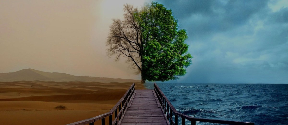 Боб оденкирк никто