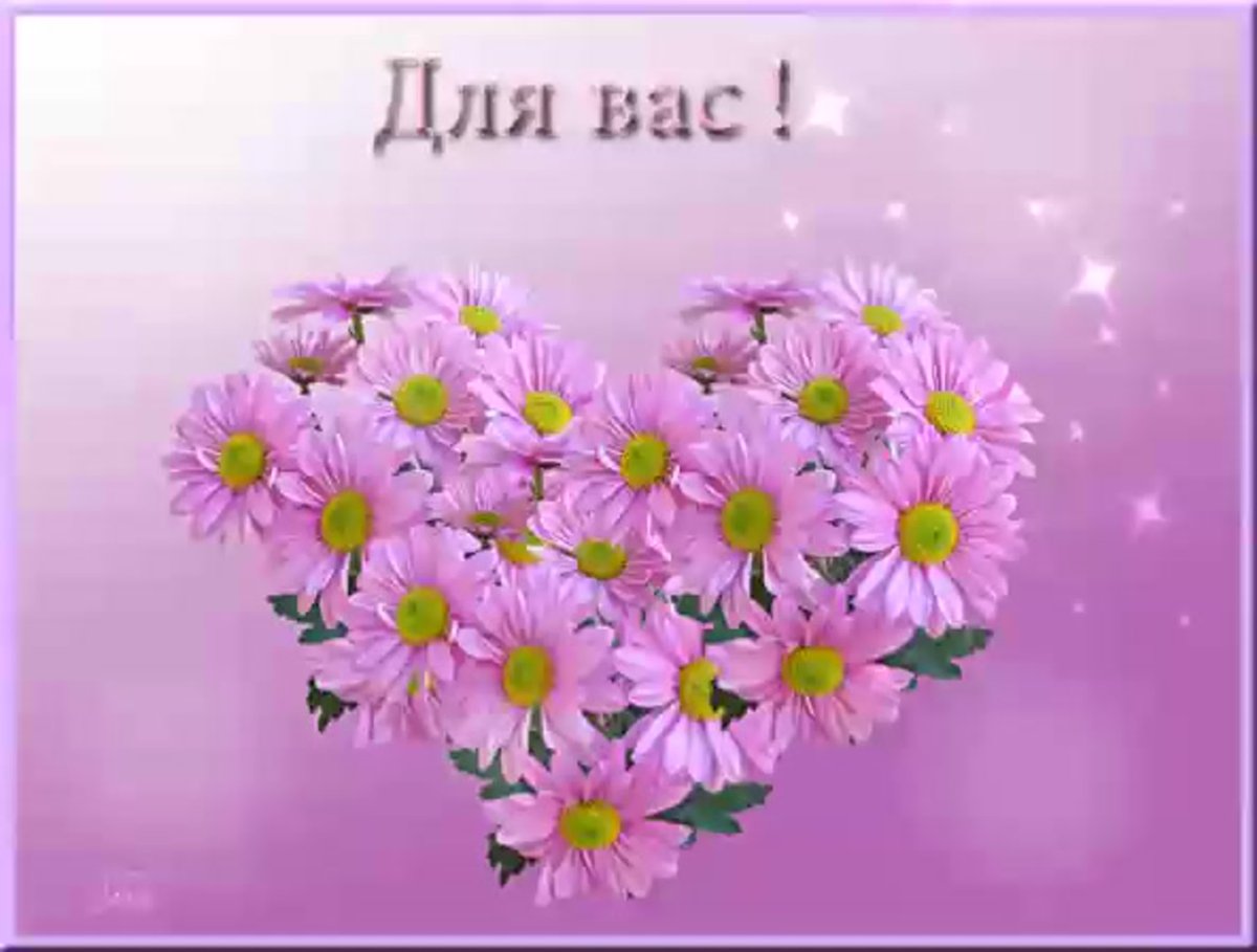 Спасибо за внимание