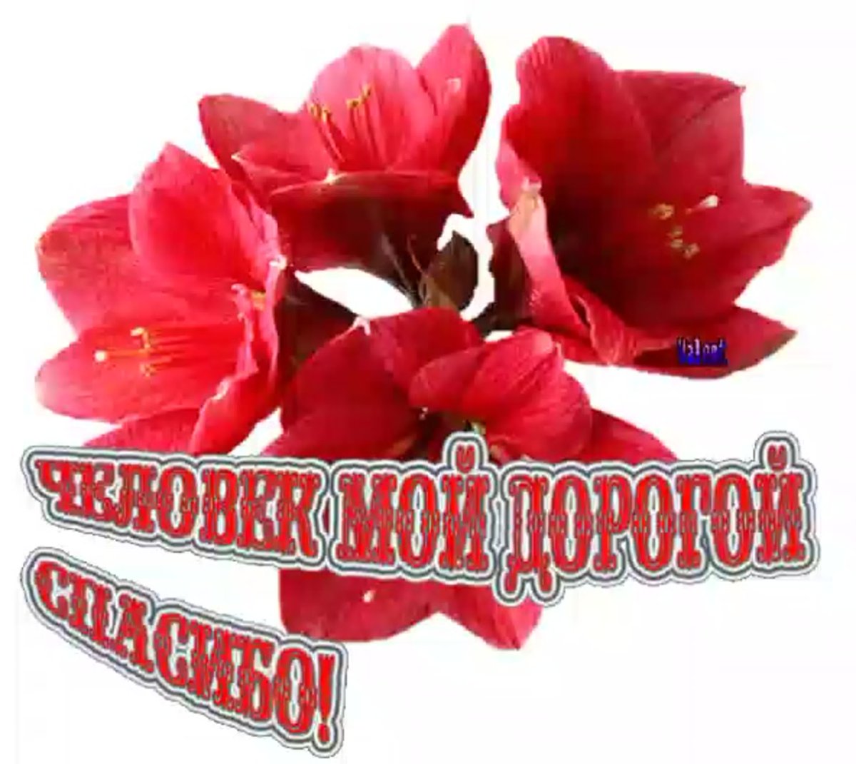 Улыбнись Зайка