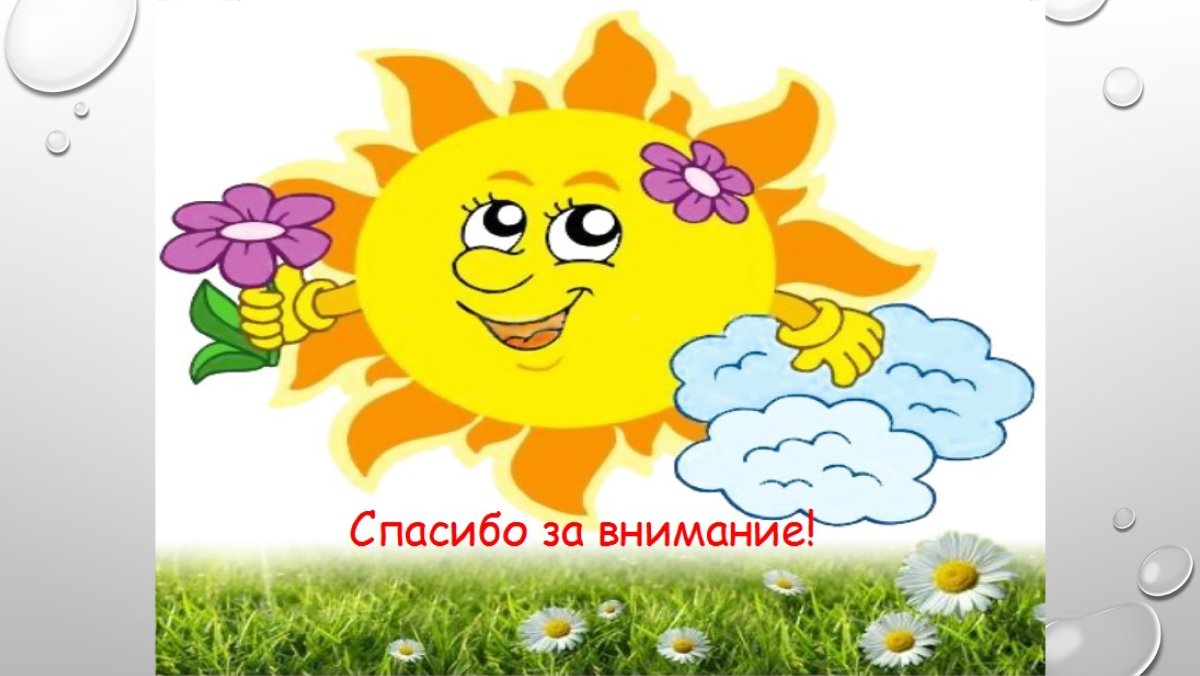 Вечерние ромашки