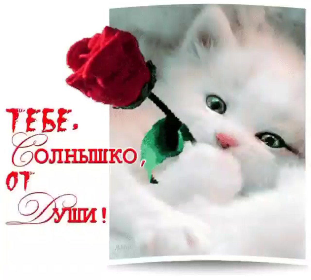 С днём рождения любовь