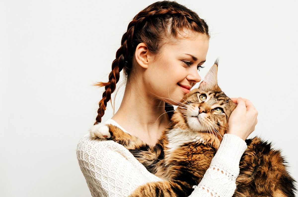 Коты и хозяева
