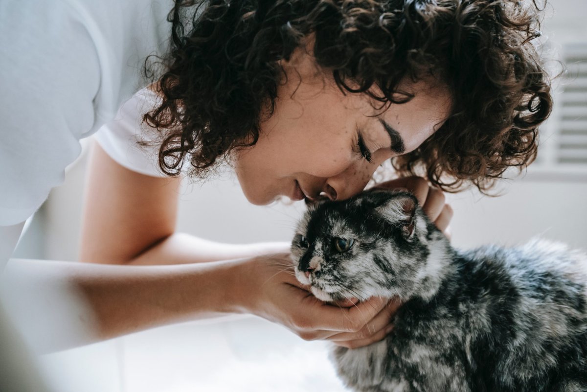 Cats have Consciousness of a 40 year old