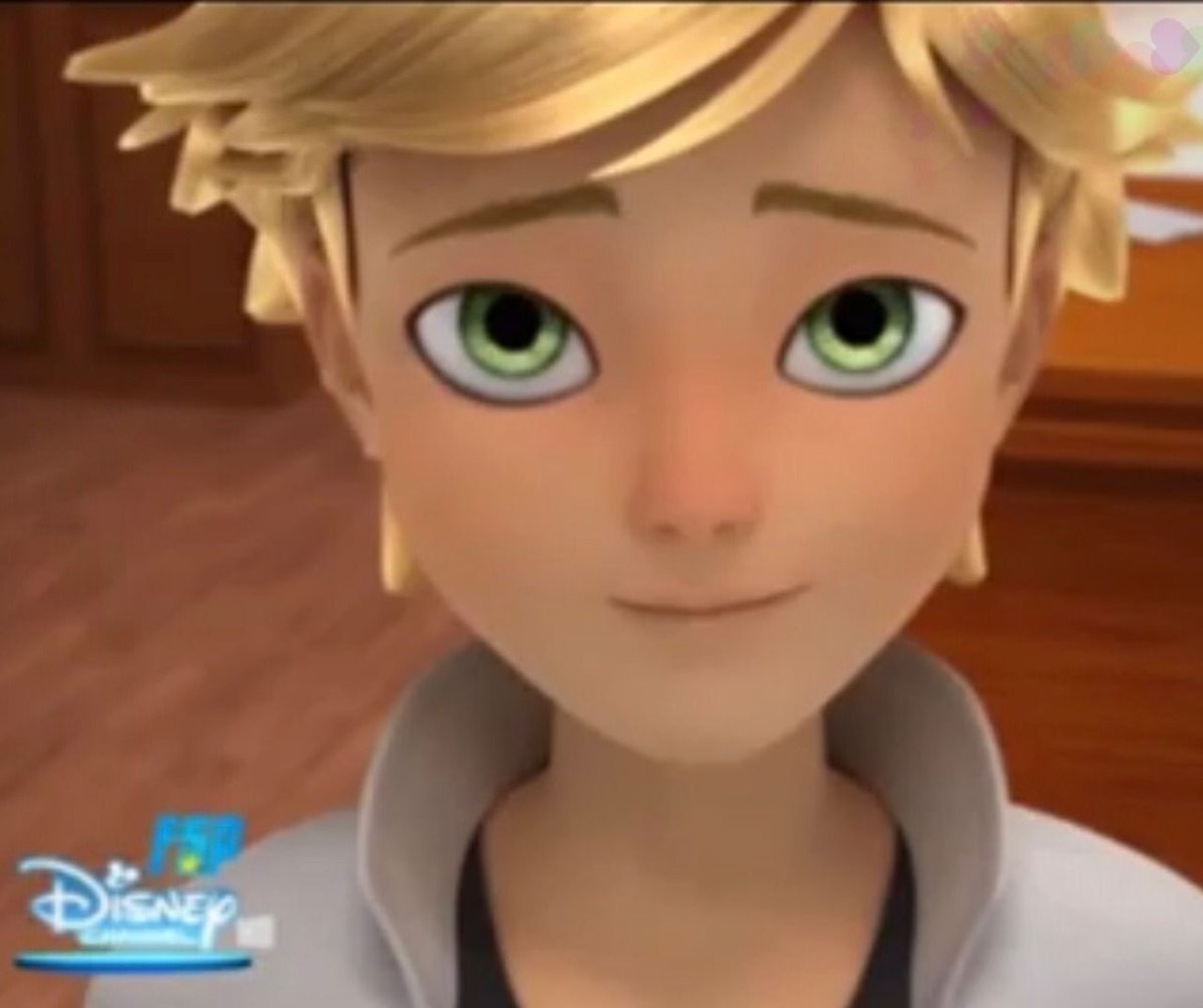 Леди баг и супер кот Эдриан