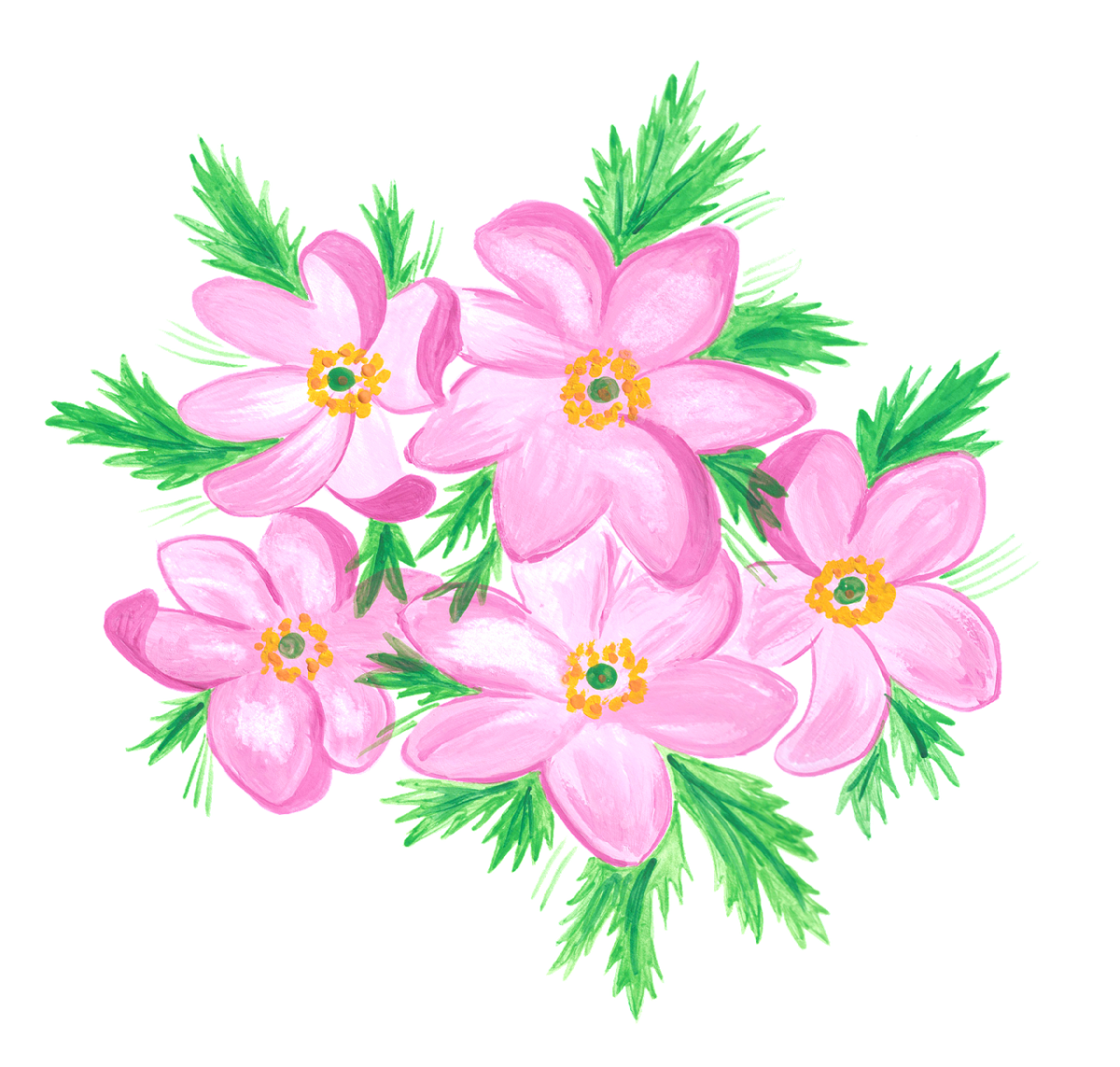 Цветы картинки